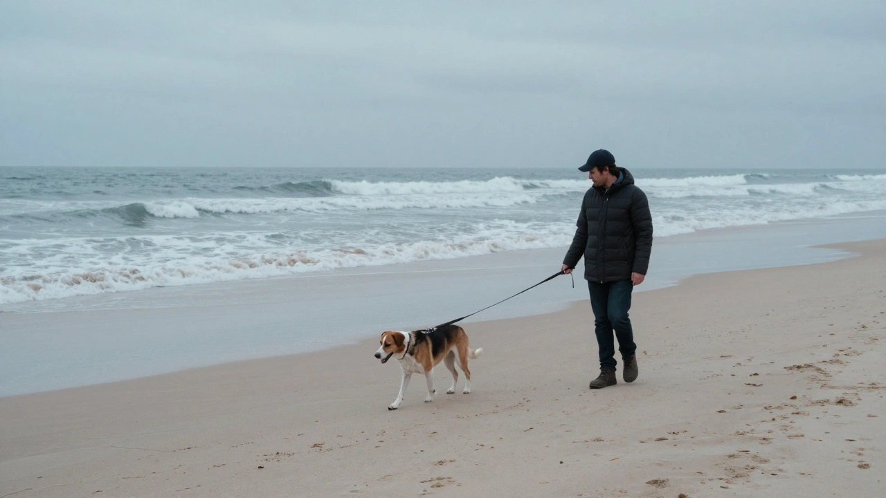 A dog and owner walking on a quiet, sandy beach during the off-season.